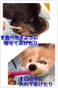 13493029_895491387246744_185381057_n (2).jpg