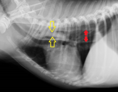 923_4202_20130502154035.0 - コピー (2).jpg