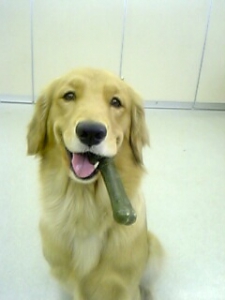 DVC10012(1) - バージョン 3.JPG