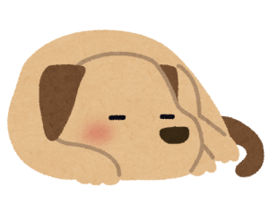 pet_dog_sleep.png